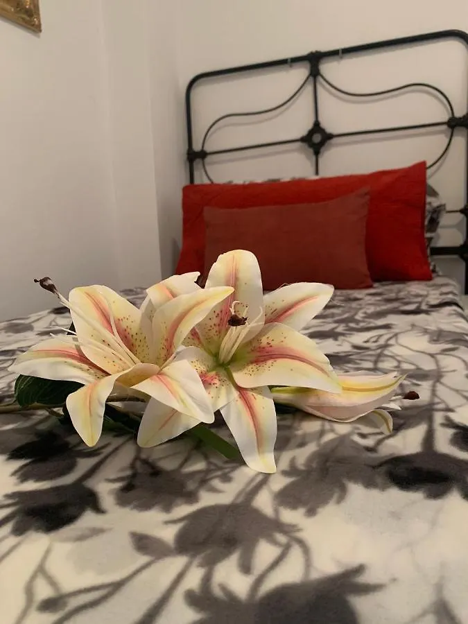 Apartamento Dream Central Plaza Santa Cruz de Tenerife 0*,