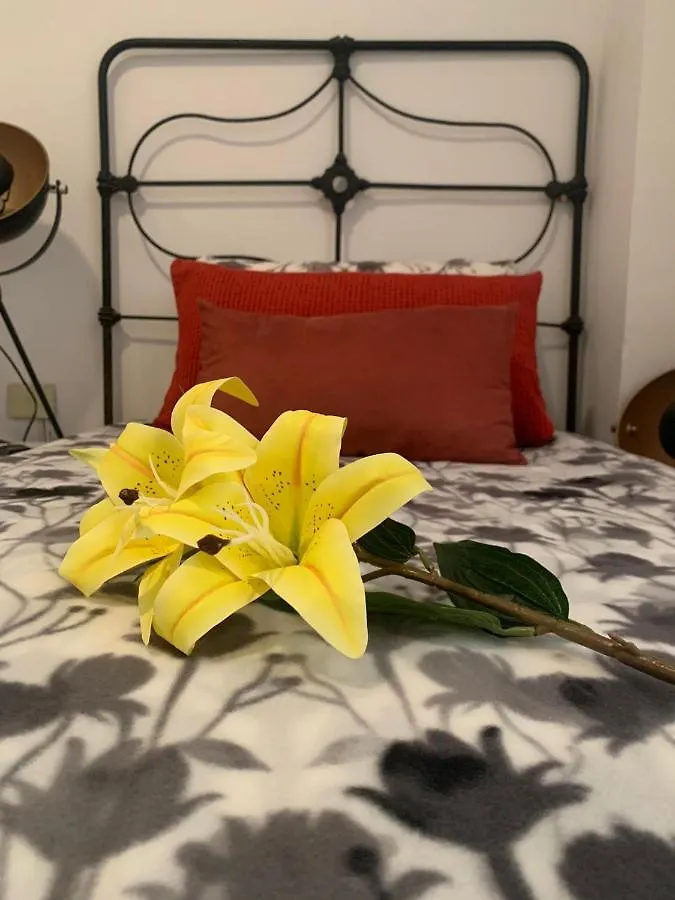 Apartamento Dream Central Plaza Santa Cruz de Tenerife