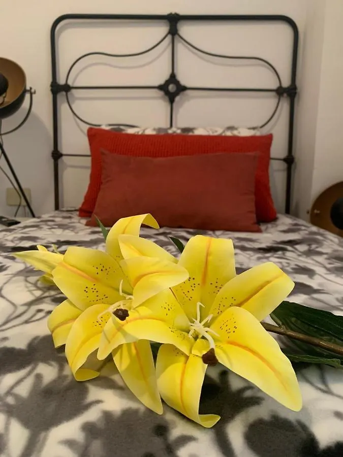 Appartement Dream Central Plaza à Santa-Cruz de Ténérife 0*,  Espagne
