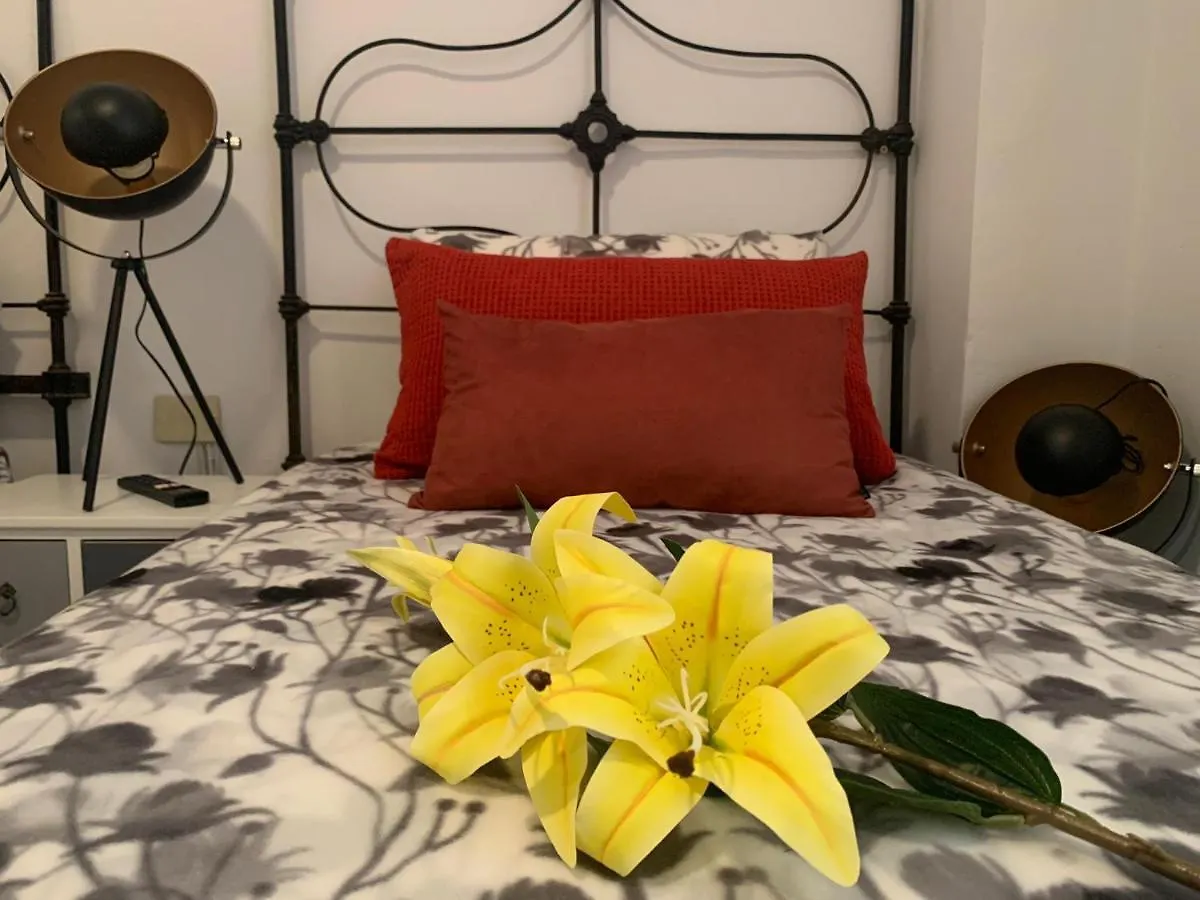 Appartement Dream Central Plaza à Santa-Cruz de Ténérife Espagne